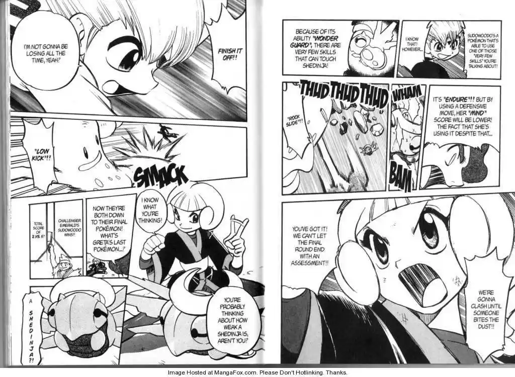 Pocket Monster Special 317