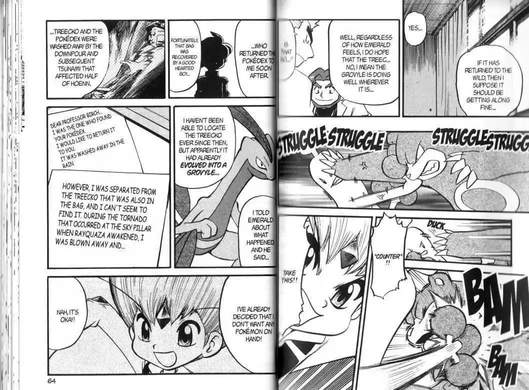 Pocket Monster Special 320