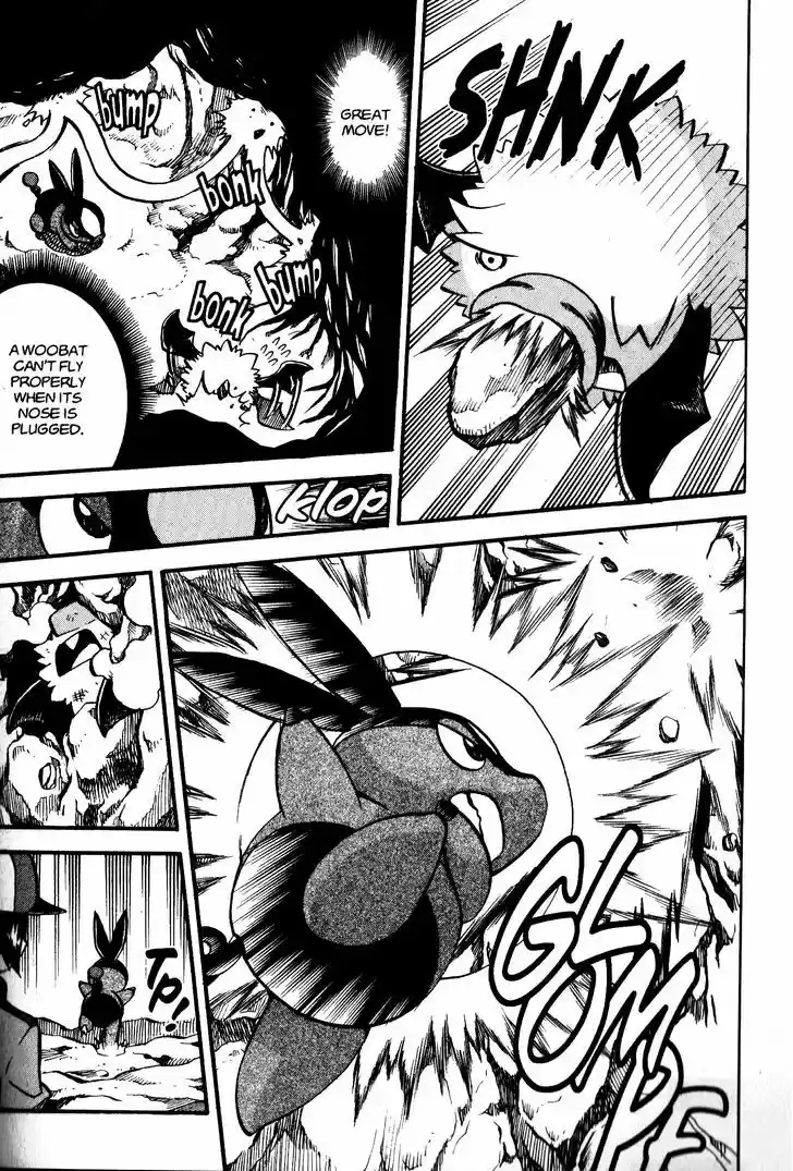 Pocket Monster Special 463