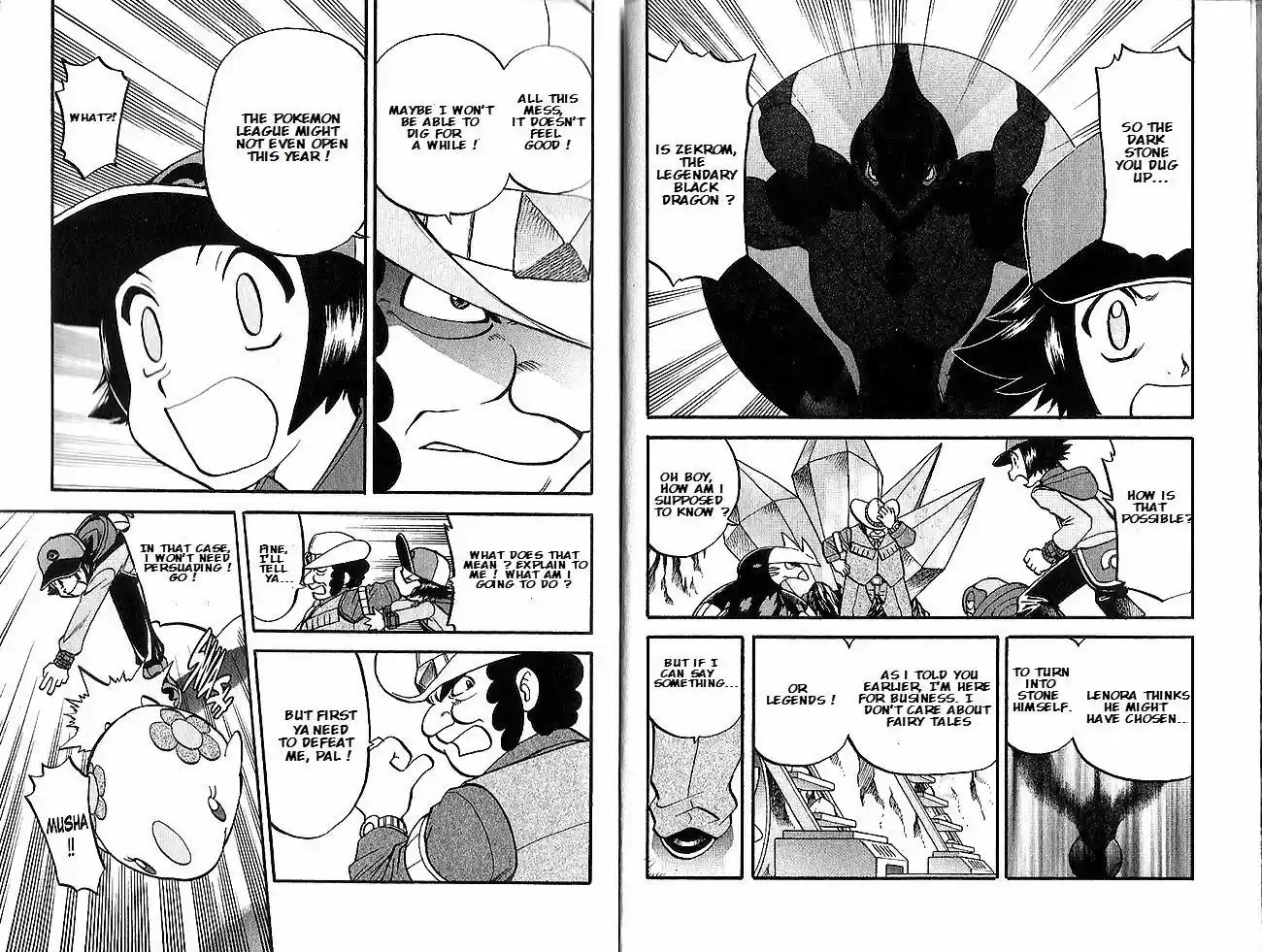 Pocket Monster Special 493