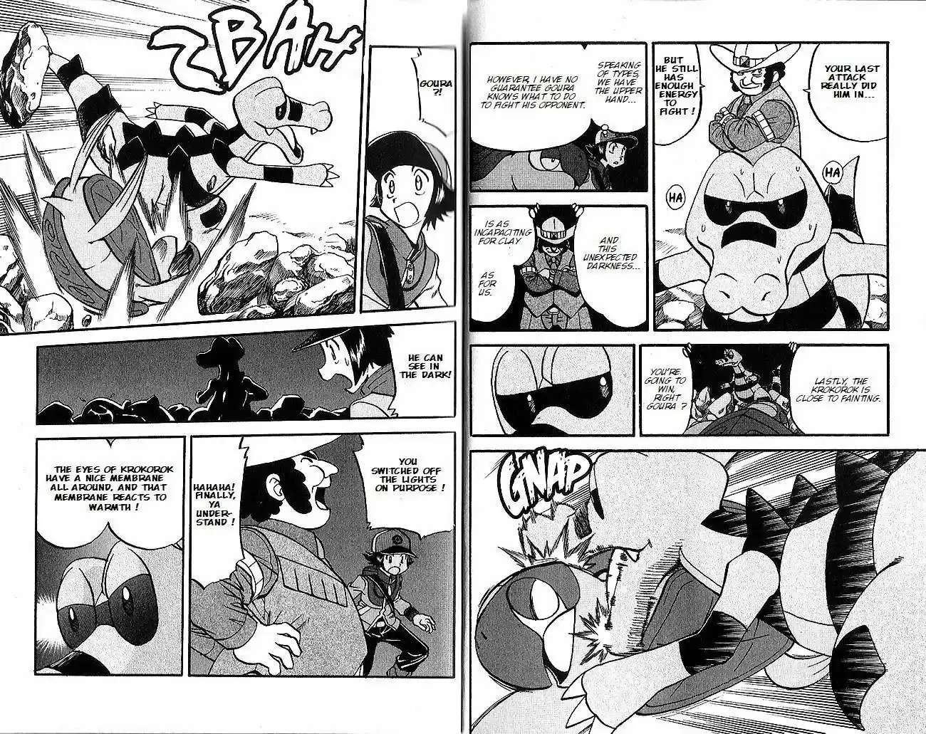 Pocket Monster Special 493