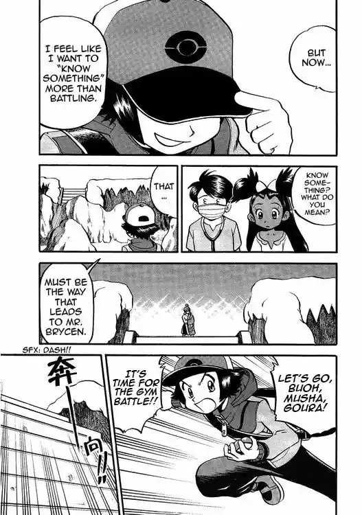 Pocket Monster Special 504