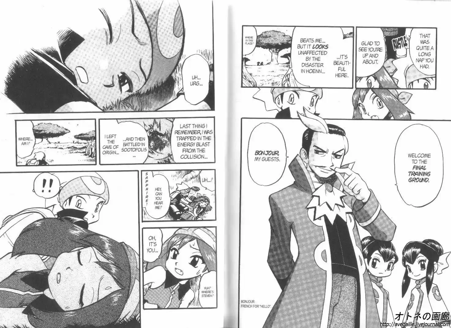 Pokemon Adventures ch.254