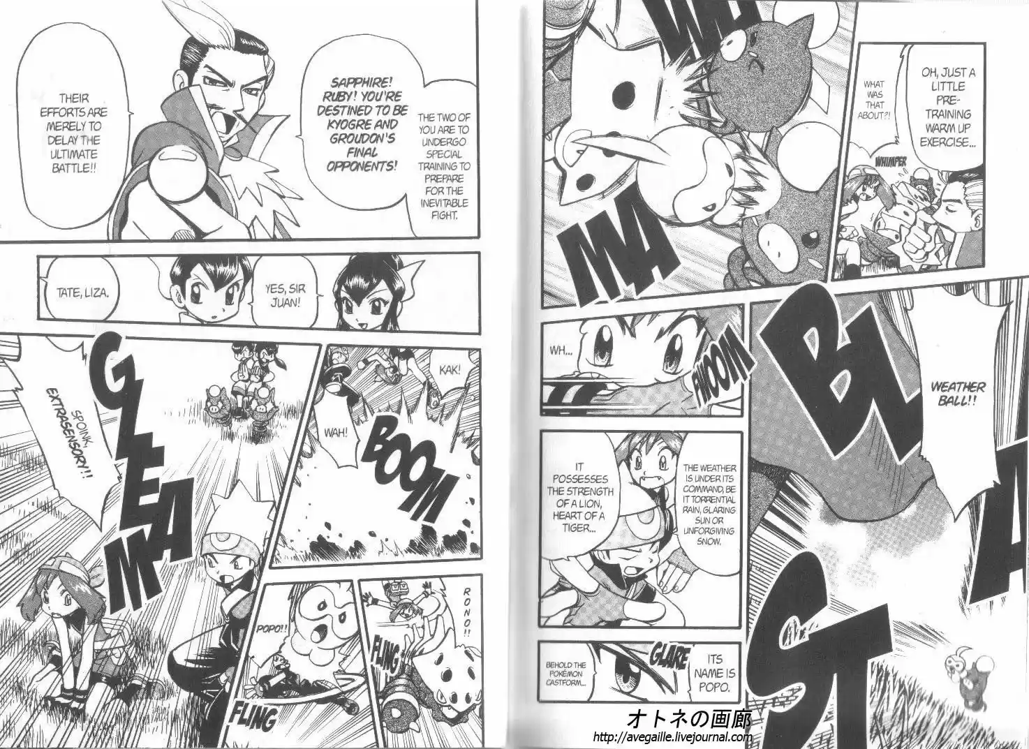 Pokemon Adventures ch.255