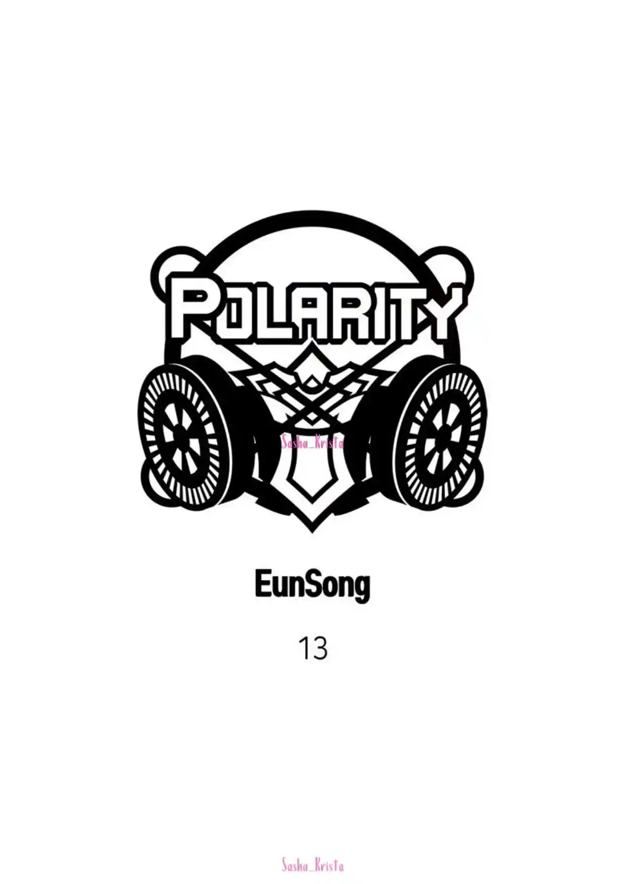 Polarity Chapter 13