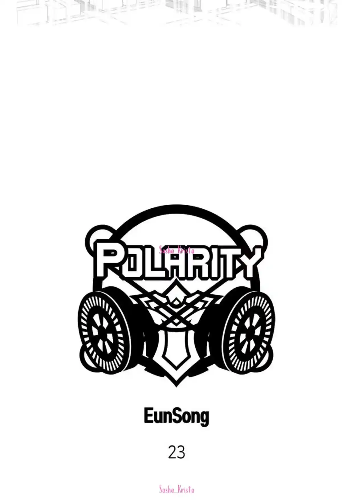Polarity Chapter 23