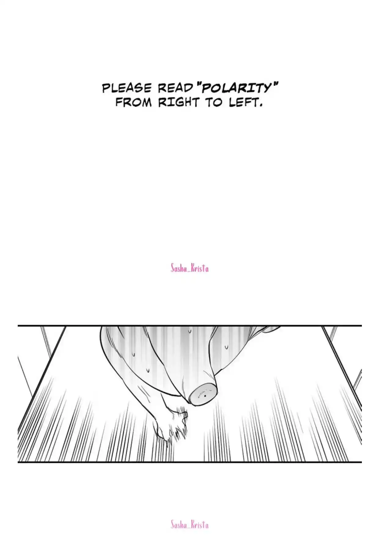 Polarity Chapter 39