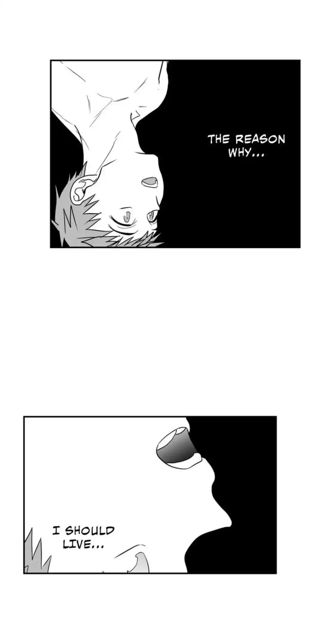 Polarity Chapter 41.2