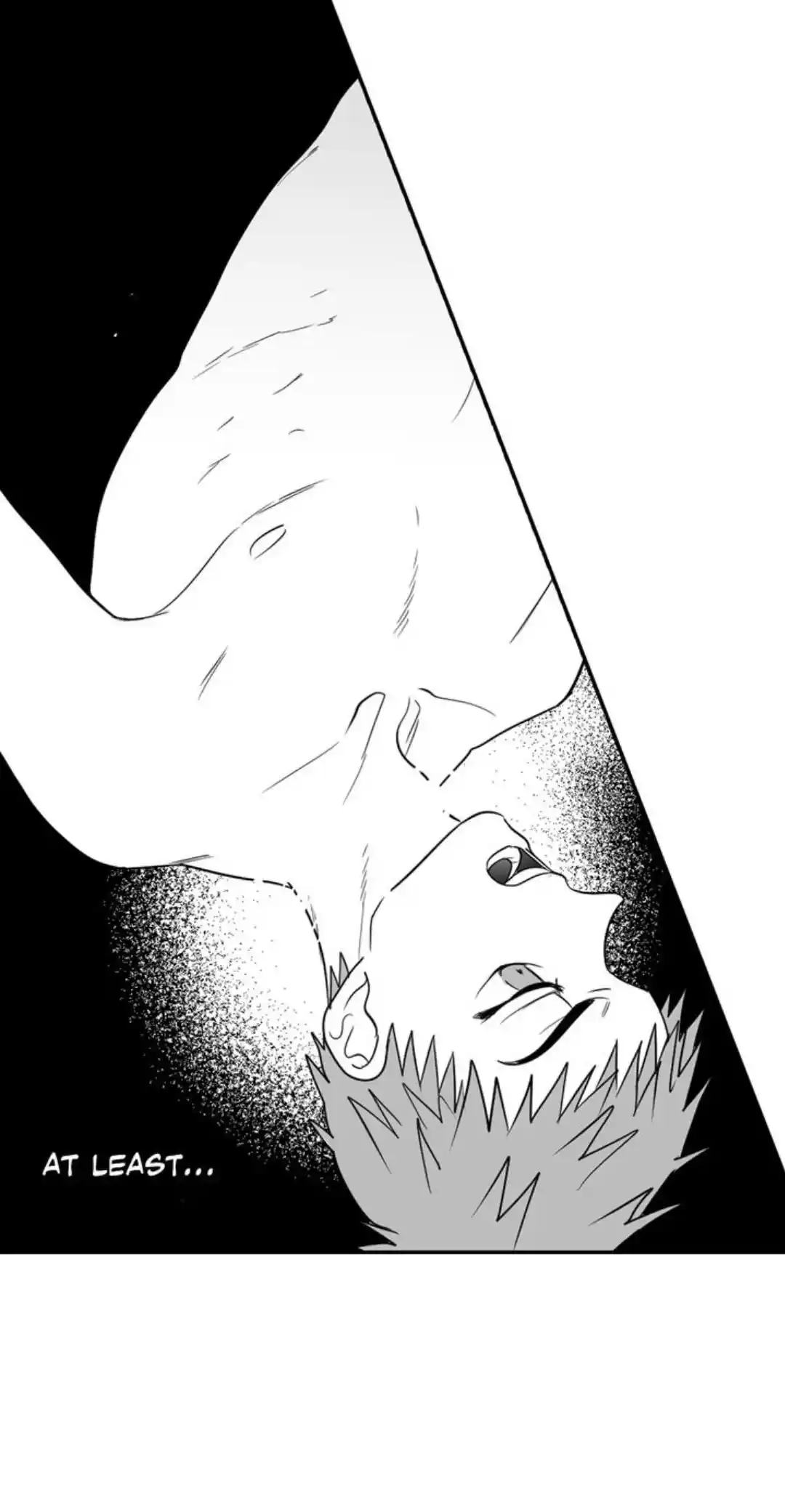 Polarity Chapter 41.2