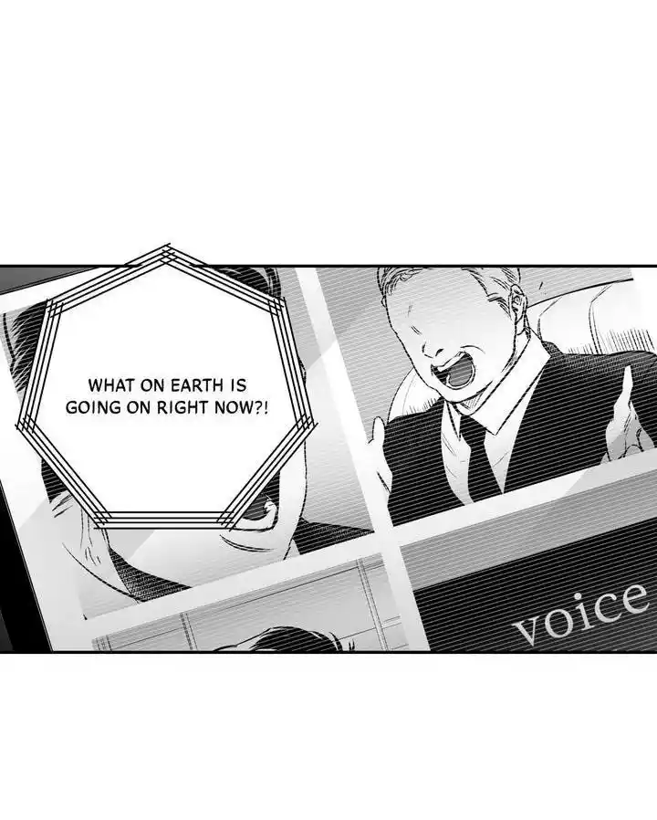 Polarity Chapter 48.1