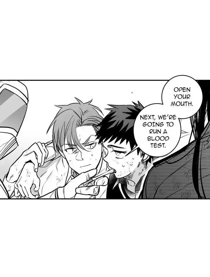 Polarity Chapter 48.1