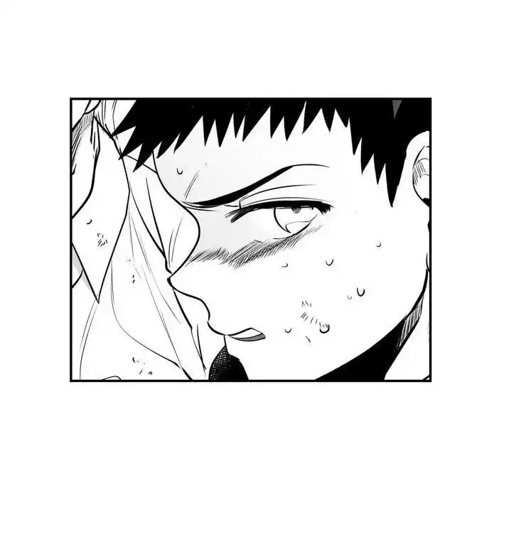 Polarity Chapter 48.1