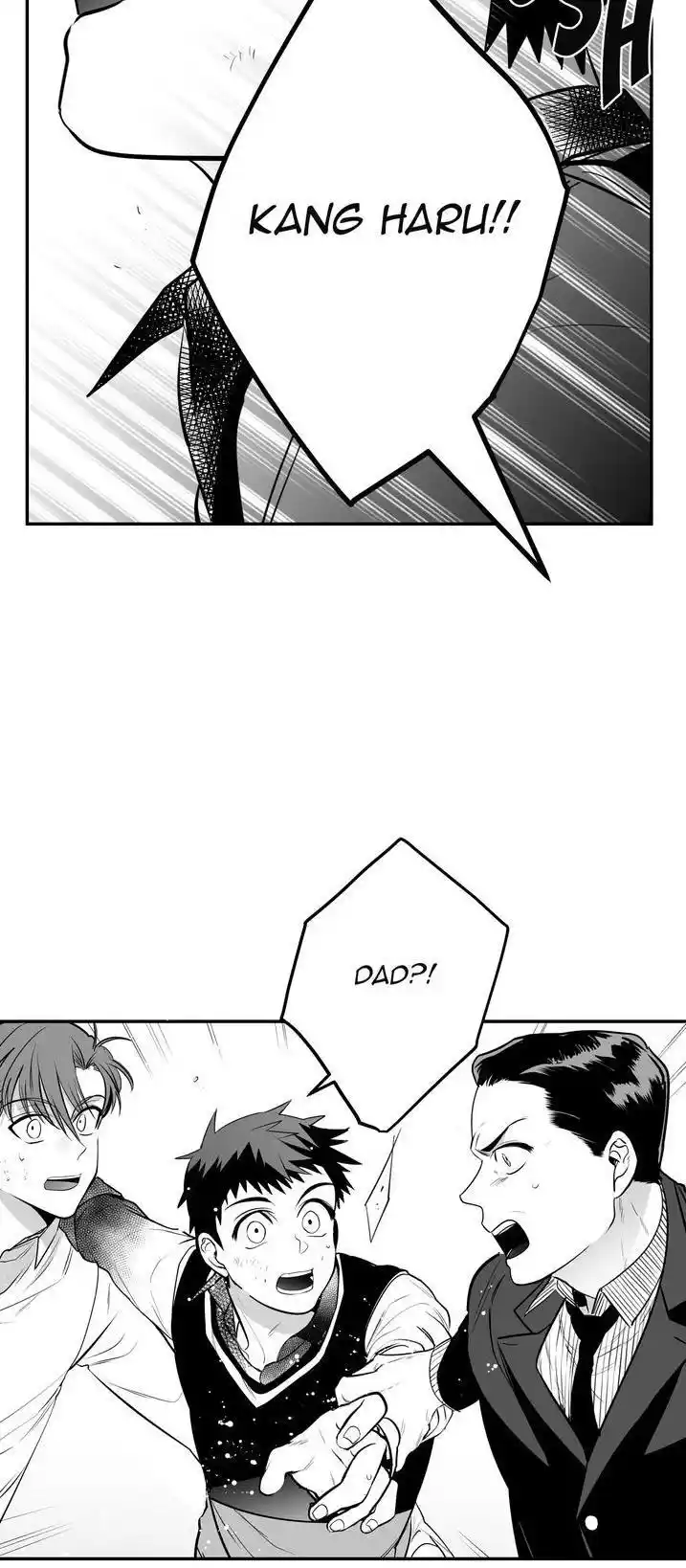 Polarity Chapter 48.2