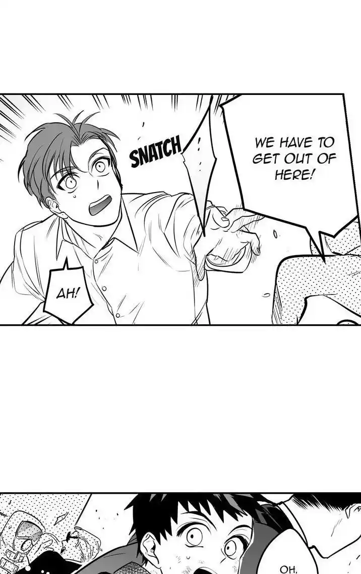 Polarity Chapter 48.2