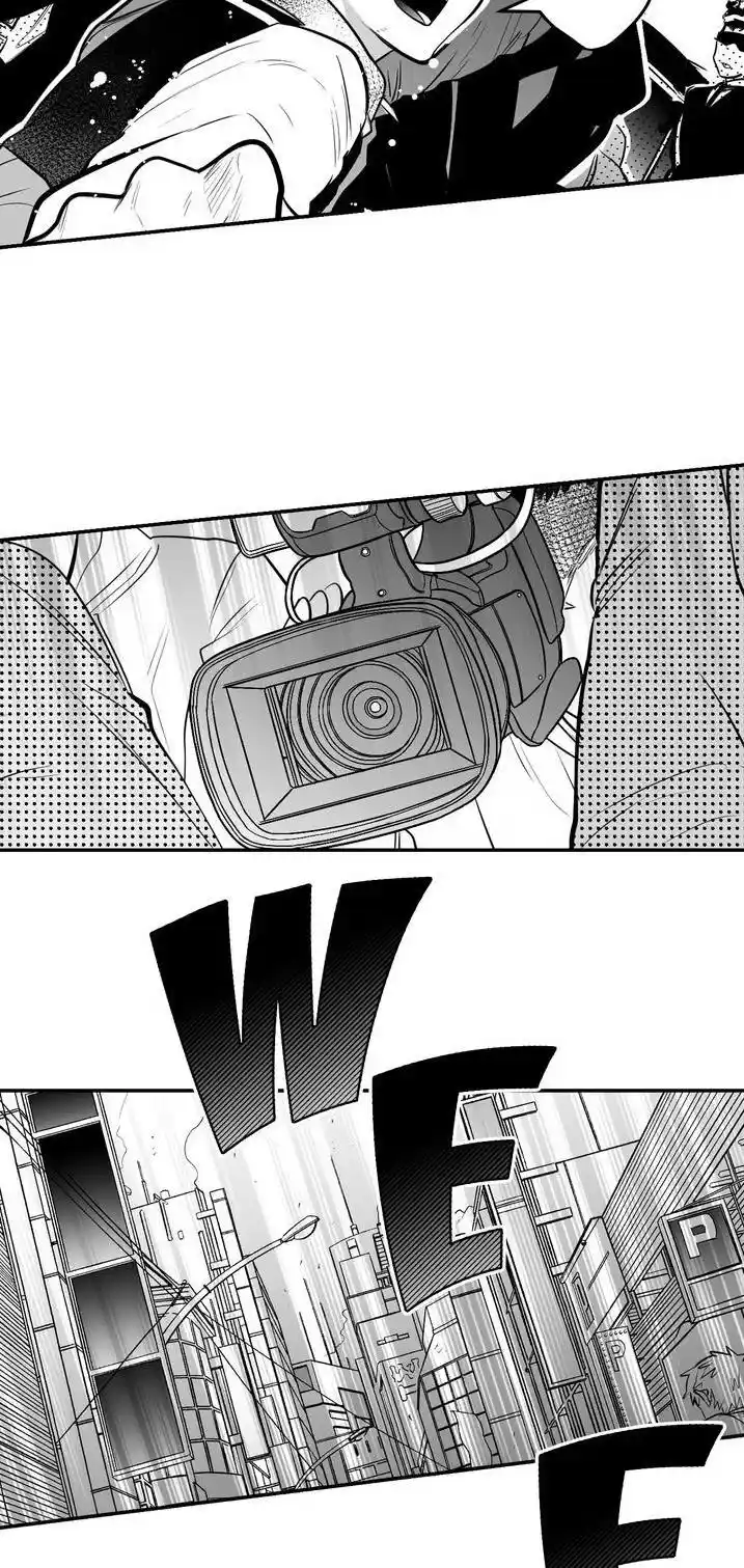 Polarity Chapter 48.2