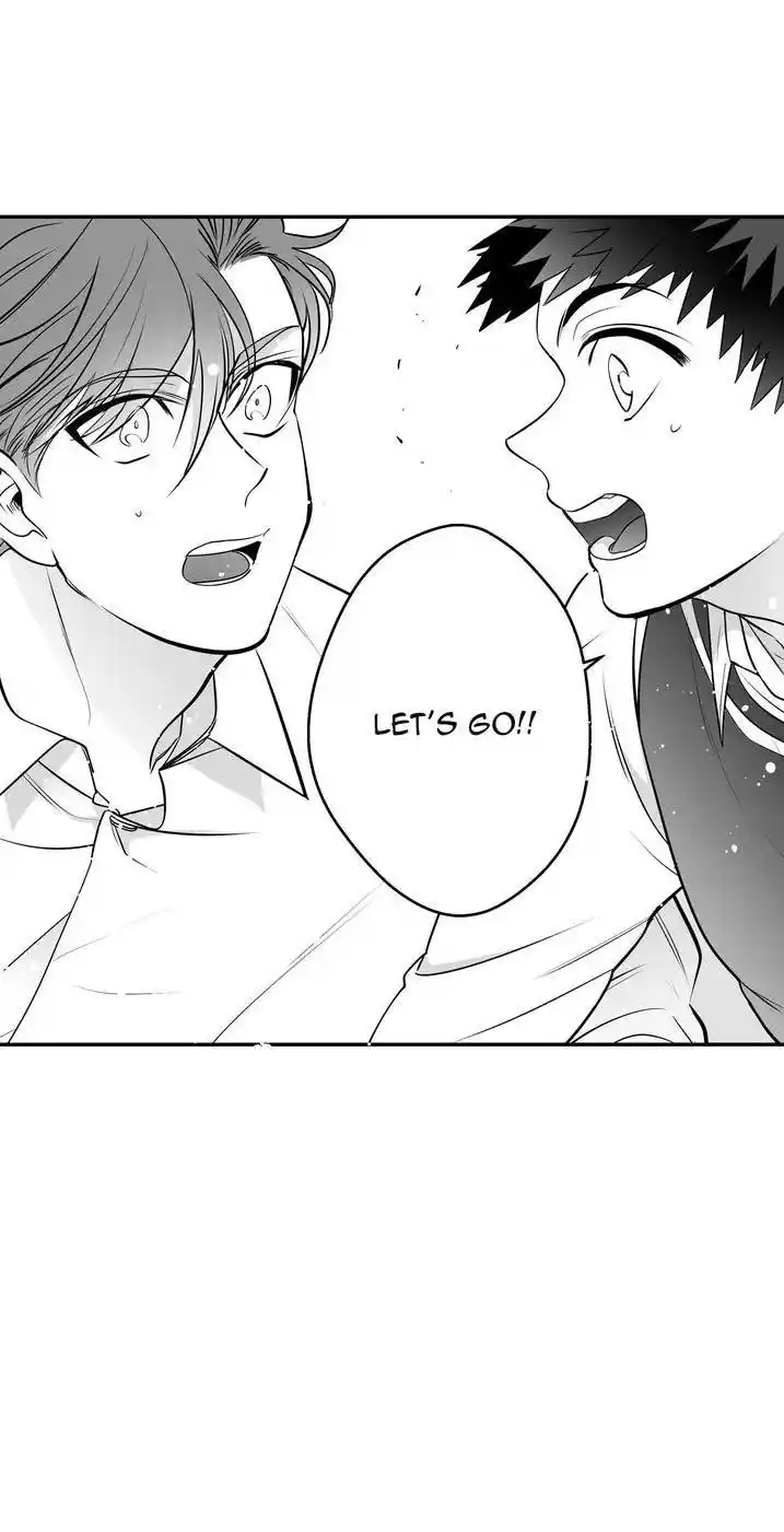 Polarity Chapter 48.2