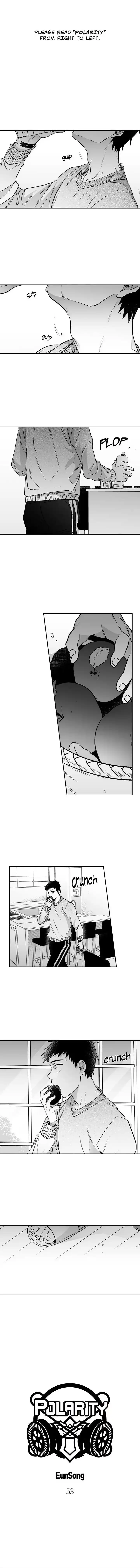 Polarity Chapter 53