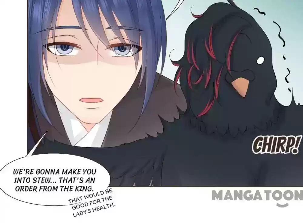 Prime Minister in Disguise Chapter 143