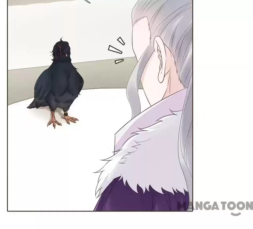 Prime Minister in Disguise Episode 116