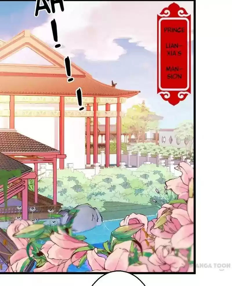 Prince, You're So Cheap! Chapter 104