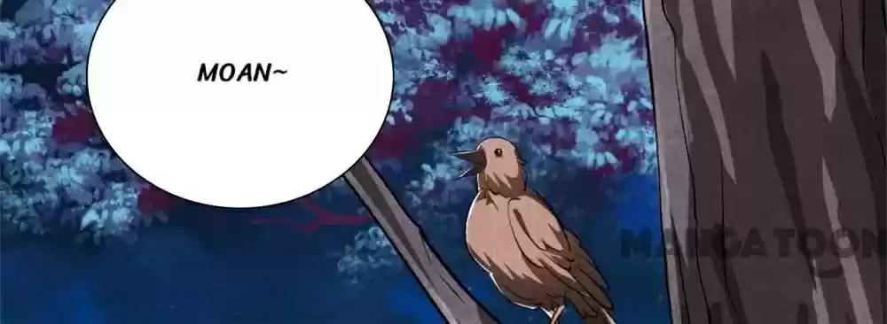 Princess Tomboy & Prince Grumpy Chapter 100