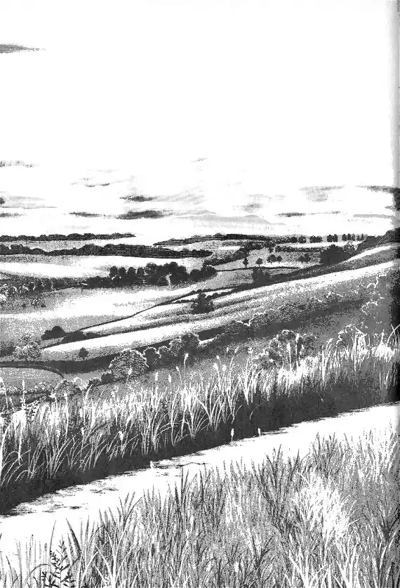 Princess Vol. 1 Ch. 0