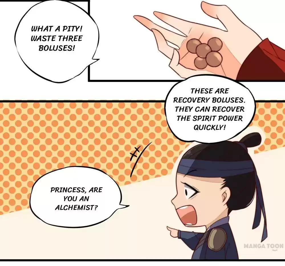 Princess’s Happily-ever-after Marriage Ch.14