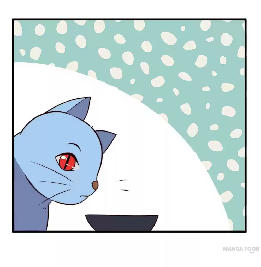 Princess’s Happily-ever-after Marriage Ch.31