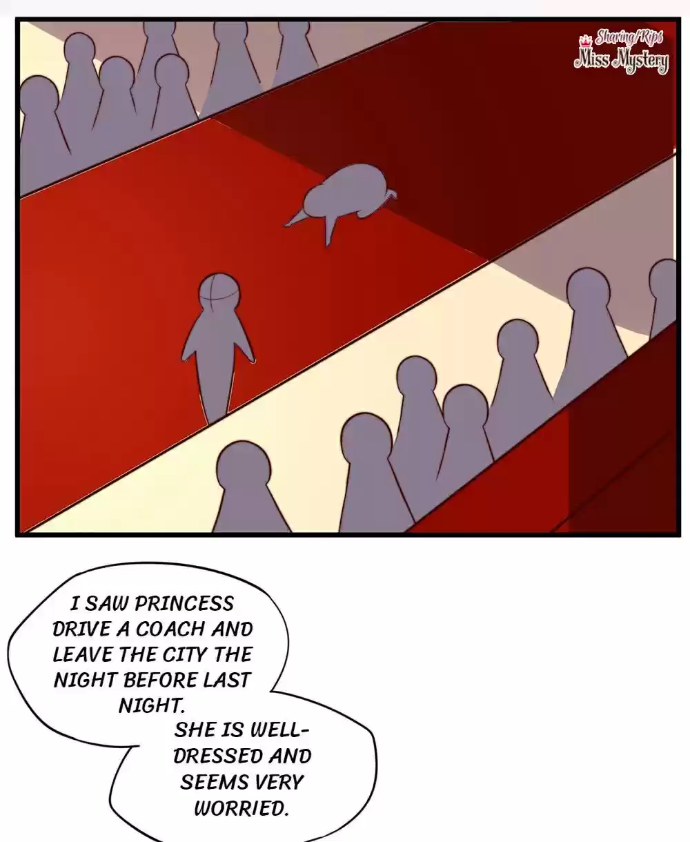 Princess’s Happily-ever-after Marriage Ch.34