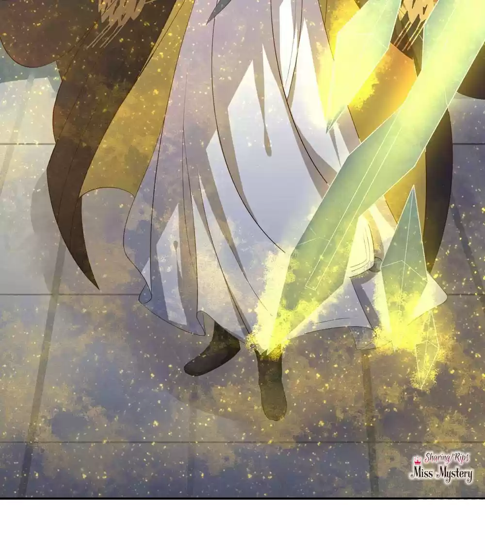 Princess’s Happily-ever-after Marriage Ch.64