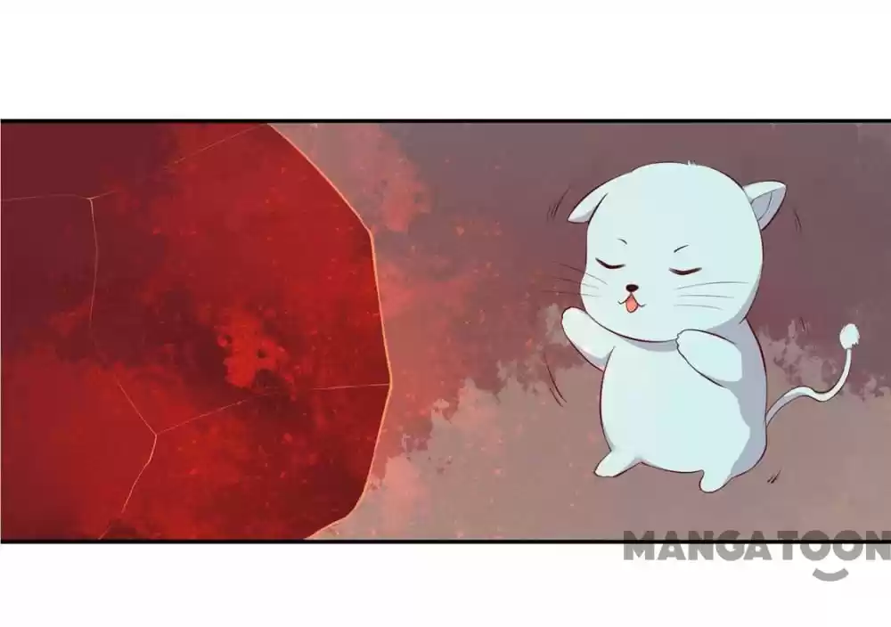 Princess’s Happily-ever-after Marriage Ch.81