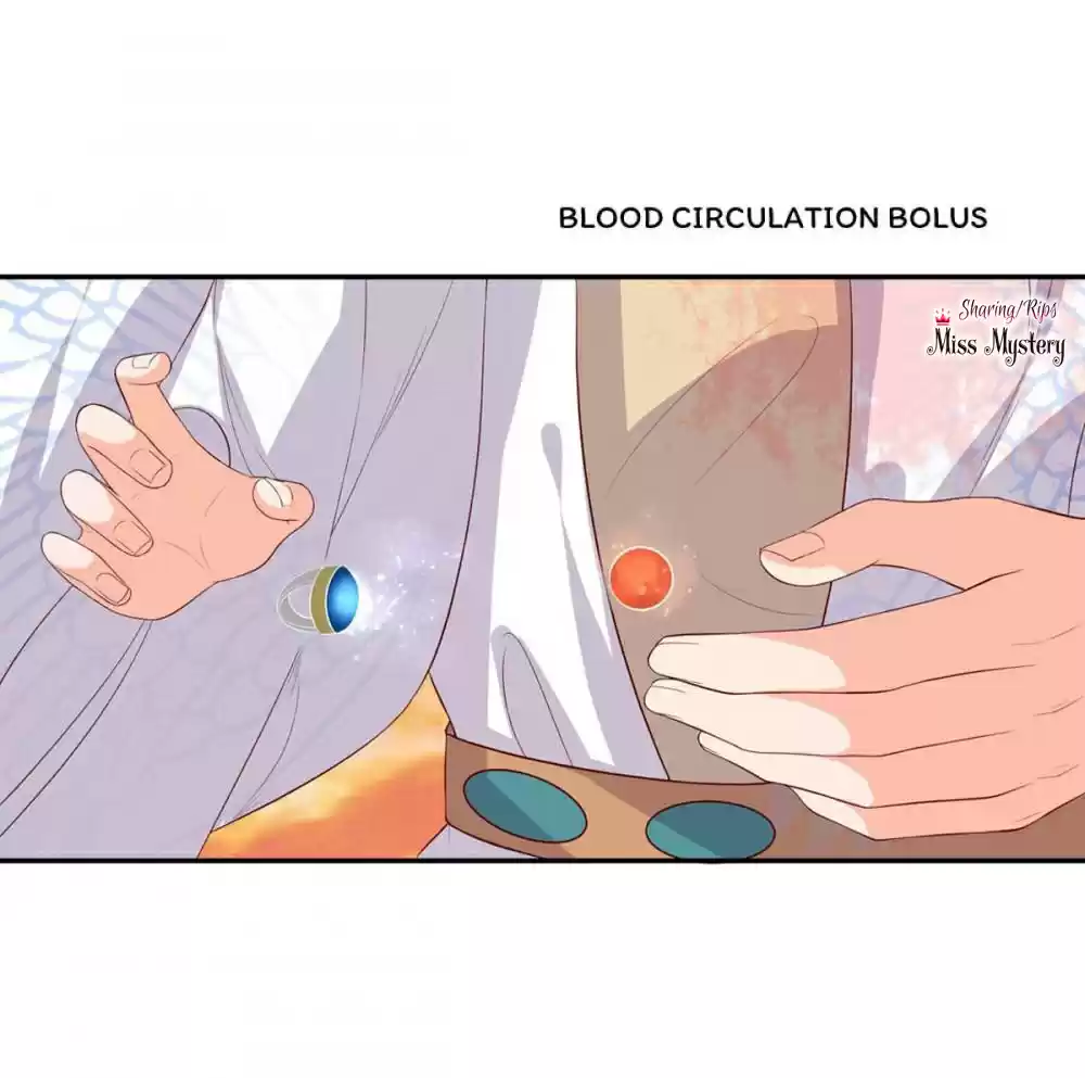 Princess’s Happily-ever-after Marriage Ch.84