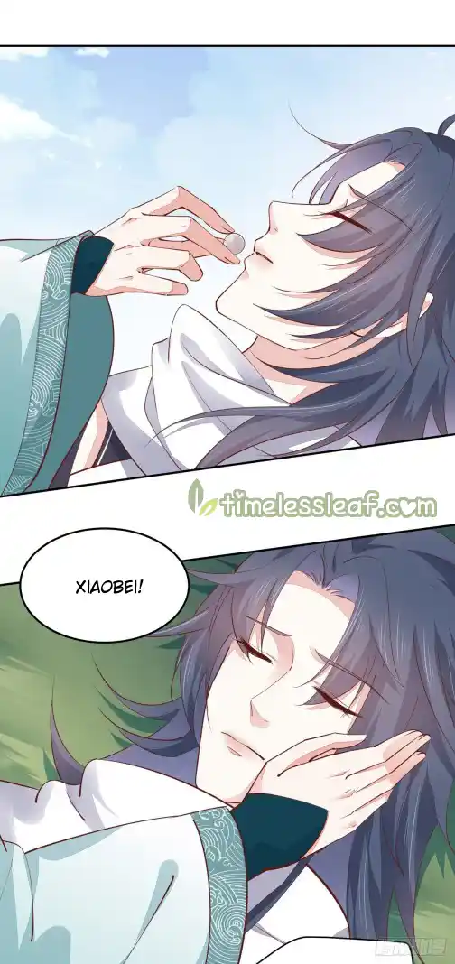 Pupillary Master 116