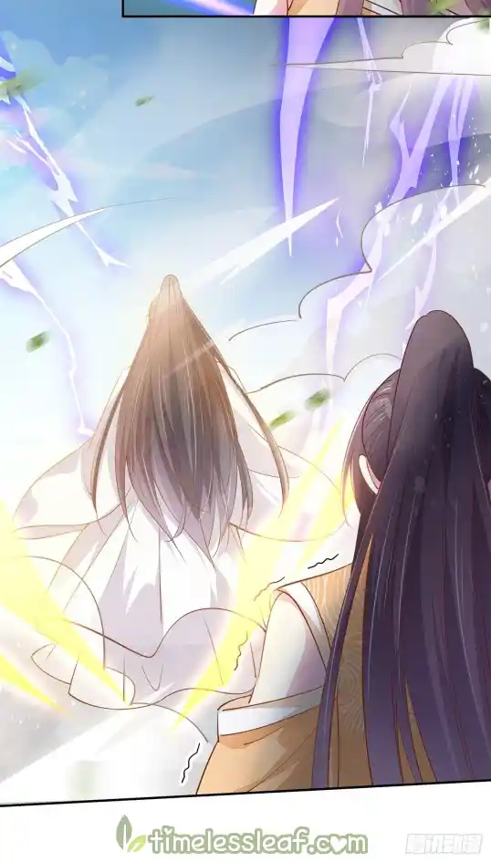 Pupillary Master 118