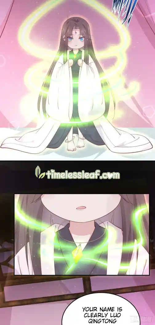 Pupillary Master 119