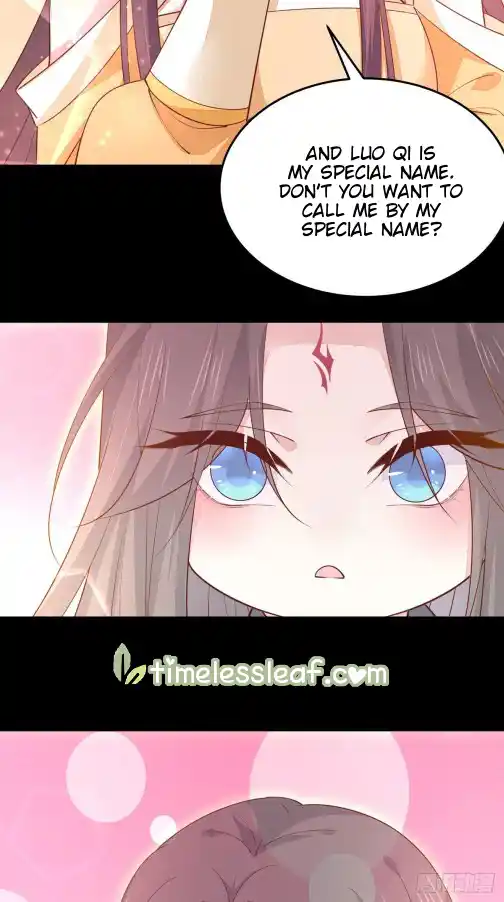 Pupillary Master 119