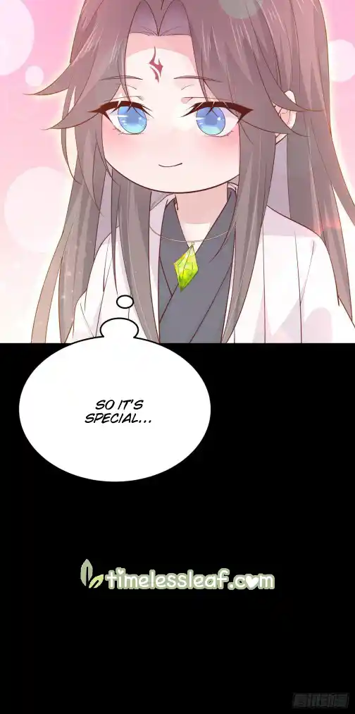 Pupillary Master 119