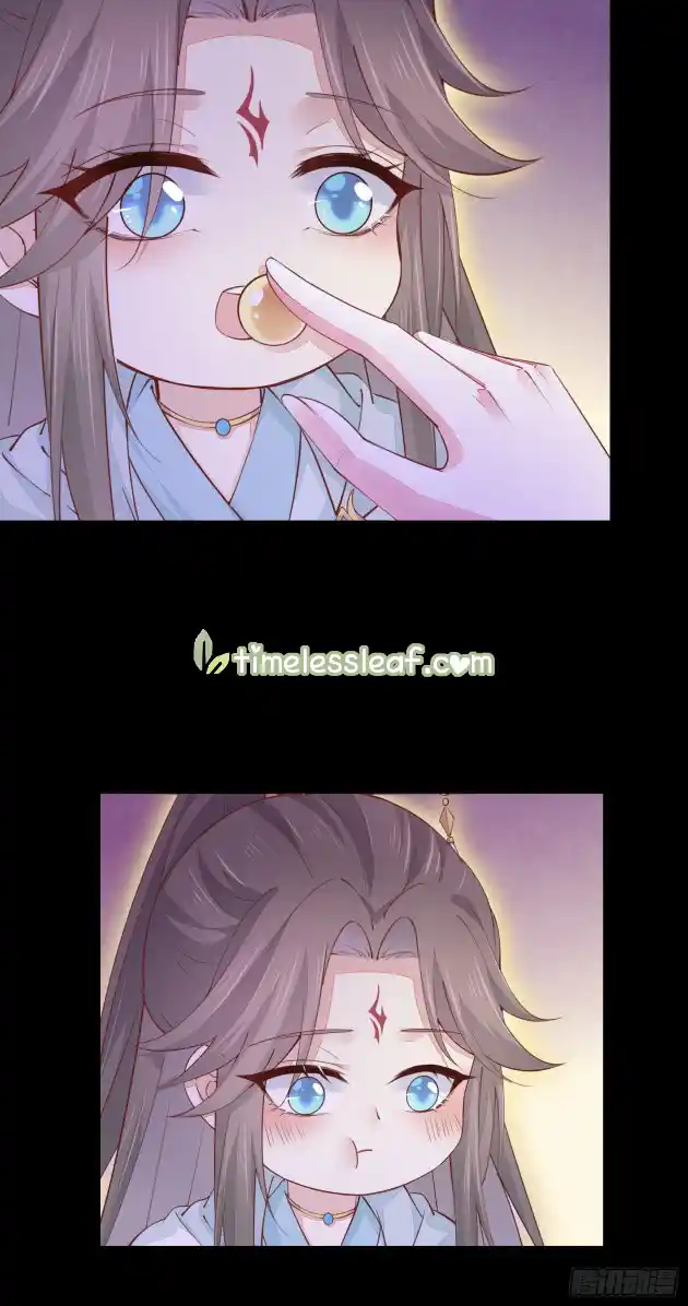 Pupillary Master 120