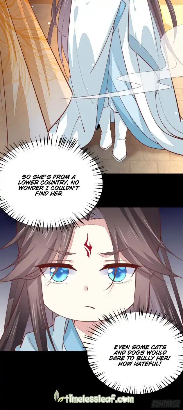 Pupillary Master 121