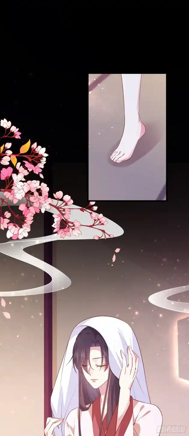 Pupillary Master 122