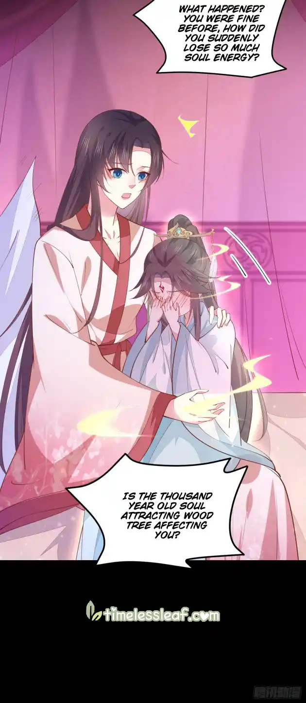 Pupillary Master 122