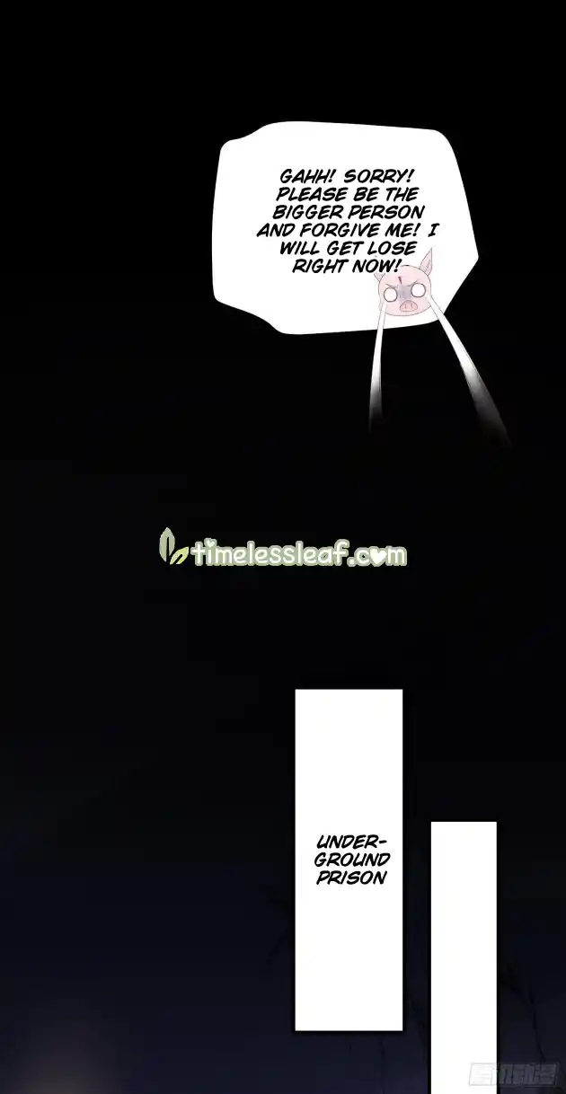 Pupillary Master 122