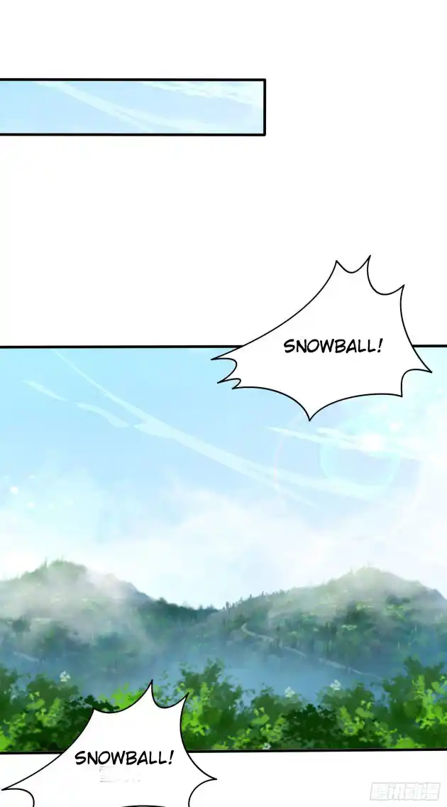 Pupillary Master 317