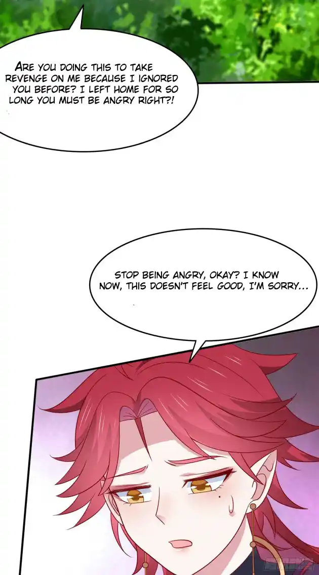 Pupillary Master 317