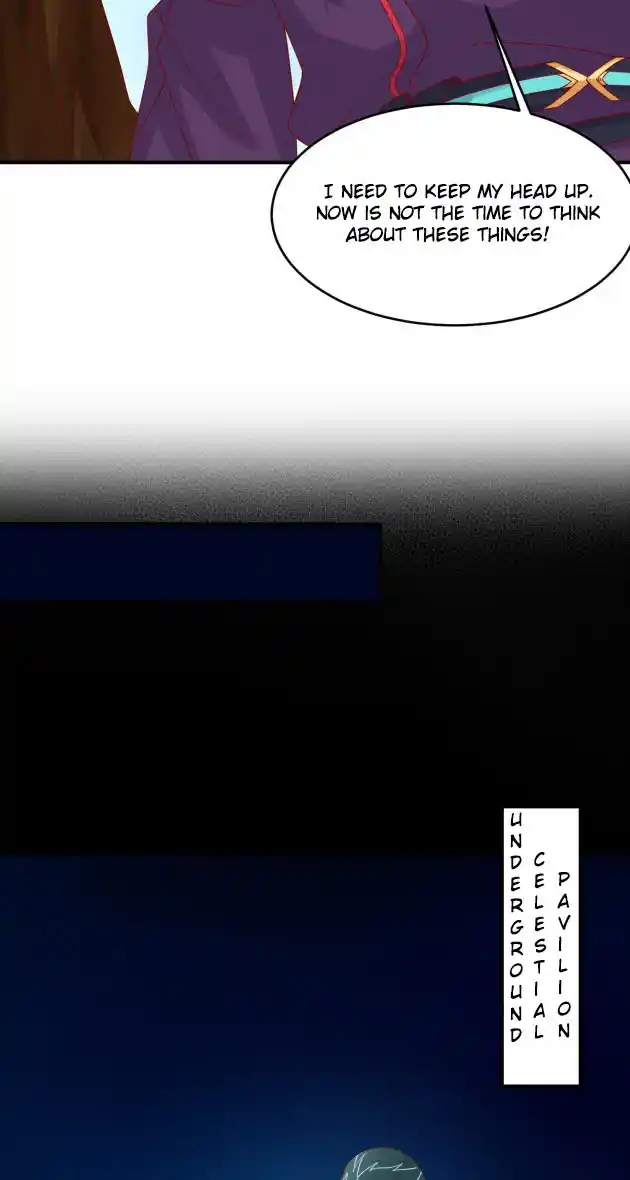 Pupillary Master 317