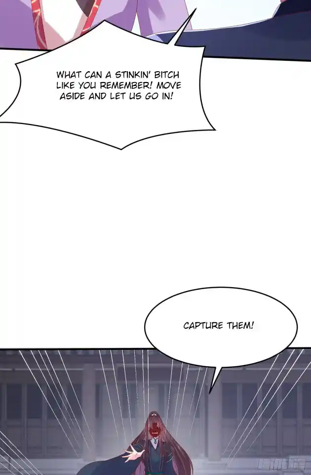 Pupillary Master 317