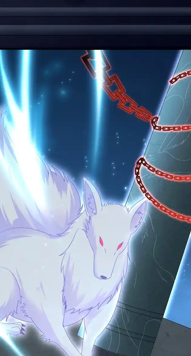 Pupillary Master 319