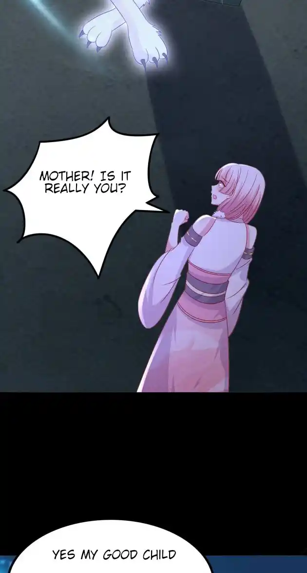 Pupillary Master 319