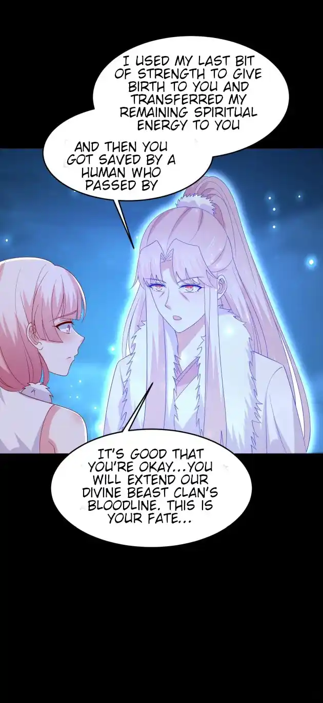 Pupillary Master 319