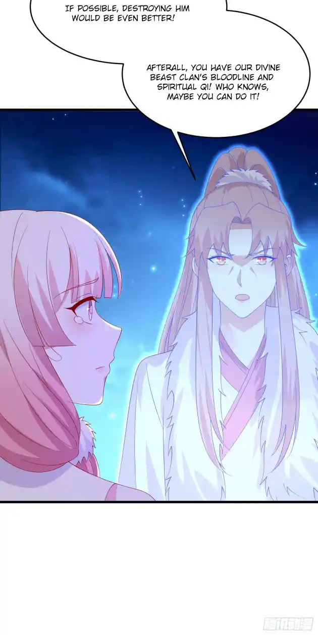 Pupillary Master 320